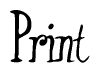 The image contains the word 'Print' written in a cursive, stylized font.