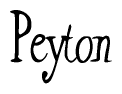 The image is of the word Peyton stylized in a cursive script.