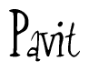 Pavit