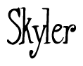 The image is of the word Skyler stylized in a cursive script.