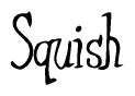 The image is a stylized text or script that reads 'Squish' in a cursive or calligraphic font.