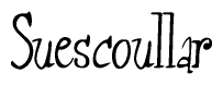 The image is of the word Suescoullar stylized in a cursive script.