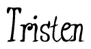 The image contains the word 'Tristen' written in a cursive, stylized font.
