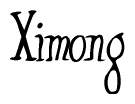 The image is a stylized text or script that reads 'Ximong' in a cursive or calligraphic font.