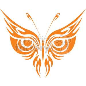 orange butterfly with an owls face 