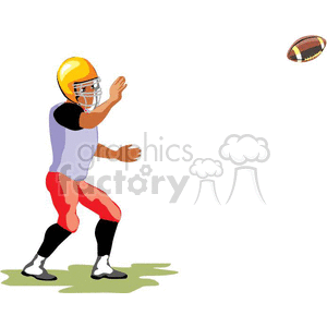 football sport sports players player quarterbacker quarterback