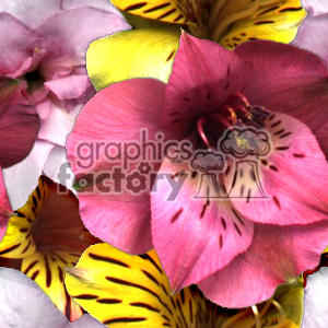 flower background clipart. Royalty-free image # 371331