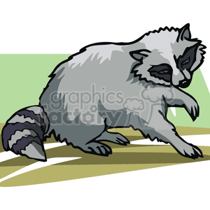 Raccoon clipart. Royalty-free image # 129192