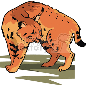 Lynx Cat clipart. Royalty-free image # 129202