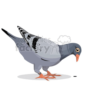 pigeon eating clipart. Commercial use image # 382277