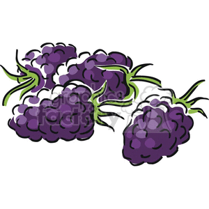 clipart - grapes.