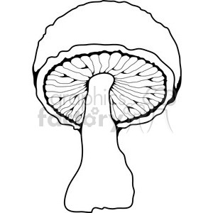 Mushroom 02 clipart. Commercial use image # 387466