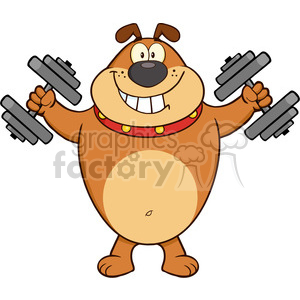clipart - Royalty Free RF Clipart Illustration Smiling Brown Bulldog Cartoon Mascot Character Training With Dumbbells.