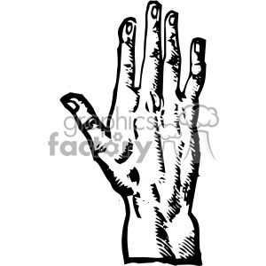 vintage retro illustration black+white anatomy body art hand hands