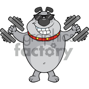 Royalty Free RF Clipart Illustration Smiling Gray Bulldog Cartoon Mascot Character With Sunglasses Working Out With Dumbbells Vector Illustration Isolated On White Background clipart.