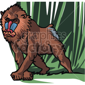 baboon clipart. Royalty-free image # 129352