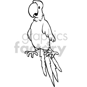clipart - black white pirate parrot.