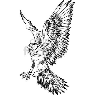 black and white hunting hawk clipart