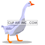   Bird birds goose geese  animals021aa.gif Animations 2D Animals 