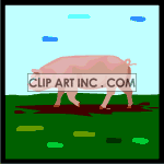   pig pigs farm animal animals Animations 2D Animals 