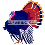   turkey turkeys bird birds thanksgiving  animals031aa.gif Animations 2D Animals 