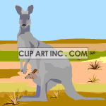 kangaroo01 animation. Royalty-free animation # 119059
