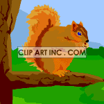 squirrel animation. Commercial use animation # 119079