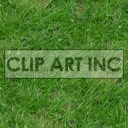 31 clipart. Royalty-free image # 128018