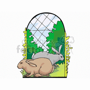 Brown and Grey Rabbits Outside the Fence clipart.