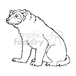 The image shows a black-and-white drawing of a bear sitting down. It is looking to the left
