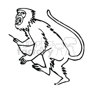 This image shows a small monkey with sharp teeth. It could be a Macaque or similar