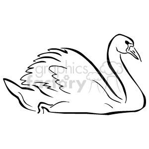  swan swans bird birds  Clip Art Animals 