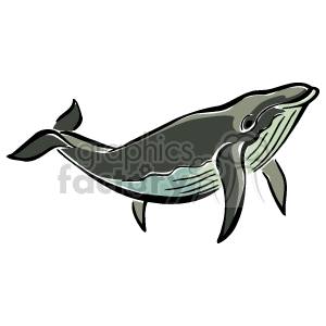 Blue whale clipart. Commercial use image # 129515