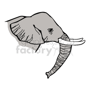 Side profile of elephant with large ivory tusks clipart.