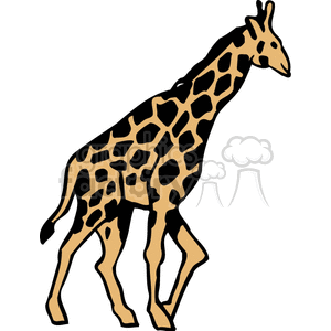 Full profile of walking giraffe