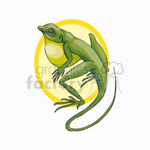animals amphibian amphibians  frog50.gif Clip Art Animals Amphibians green anole dewlap lizard pet lizards