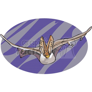 Foward facing brown bat in mid-flight clipart. Commercial use image # 129988