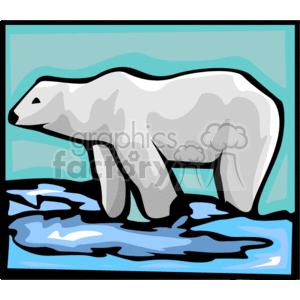 Polar bear looking for food