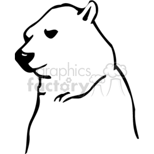 Side profile of a majestic polar bear clipart. Commercial use image # 130096