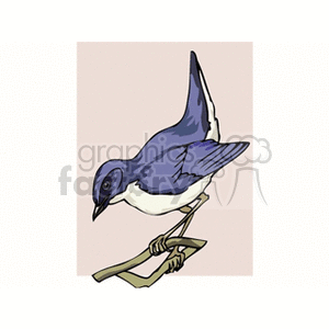 Blue nightingale clipart. Royalty-free image # 130249