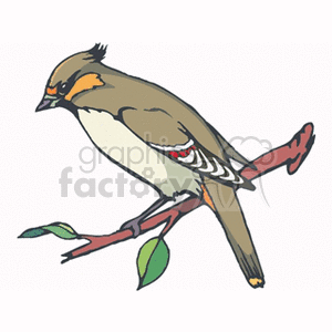 Female cardinal perched on a leafy branch clipart. Commercial use image # 130262