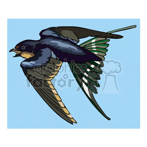 clipart - Chimney swallow in midflight.