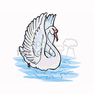 Graceful cob swan swimming on blue water clipart.