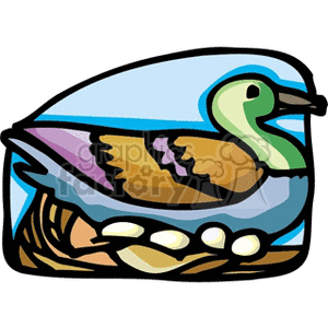 Colorful duck sitting on a nest of eggs clipart. Royalty-free image # 130353