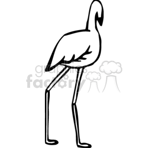 clipart - Black and white flamingo walking.