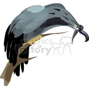 Mean hawk perched on a branch clipart.