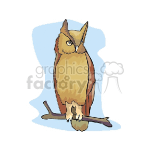 Great horned owl perched on tree limb clipart. Commercial use image # 130521