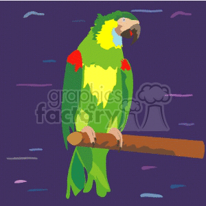 Colorful military macaw perched on a branch clipart.