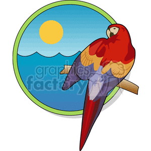 Scarlet macaw against a tropical beach background clipart.