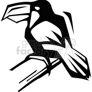 Black and white toucan clipart. Royalty-free image # 130692